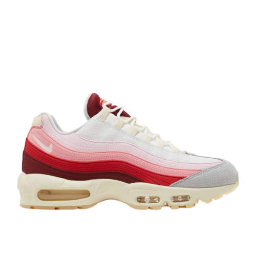 Nike Air Max 95 Anatomy of Air