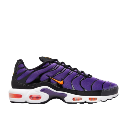 Nike Air Max Plus OG...