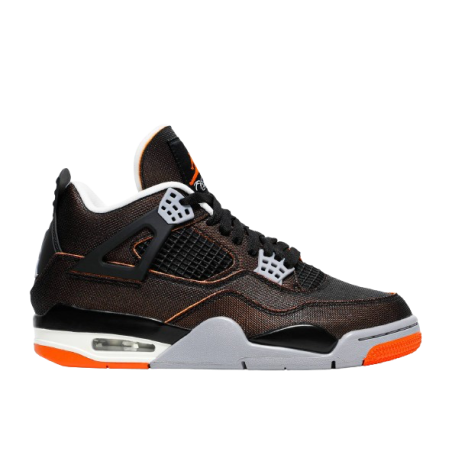 Air Jordan 4 SE Starfish