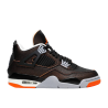 Air Jordan 4 SE Starfish