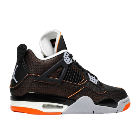 Air Jordan 4 SE Starfish