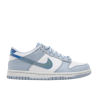 Nike Dunk Low Hologram