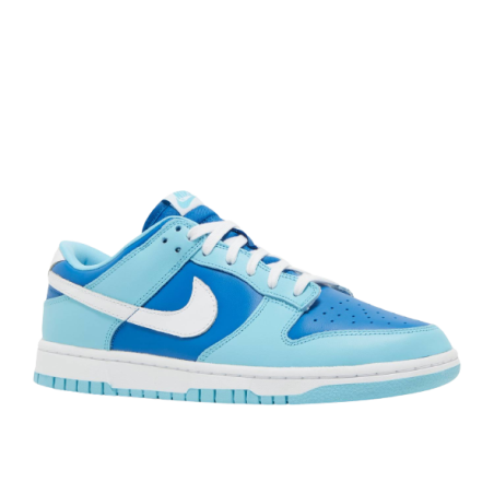 Nike Dunk Low Argon