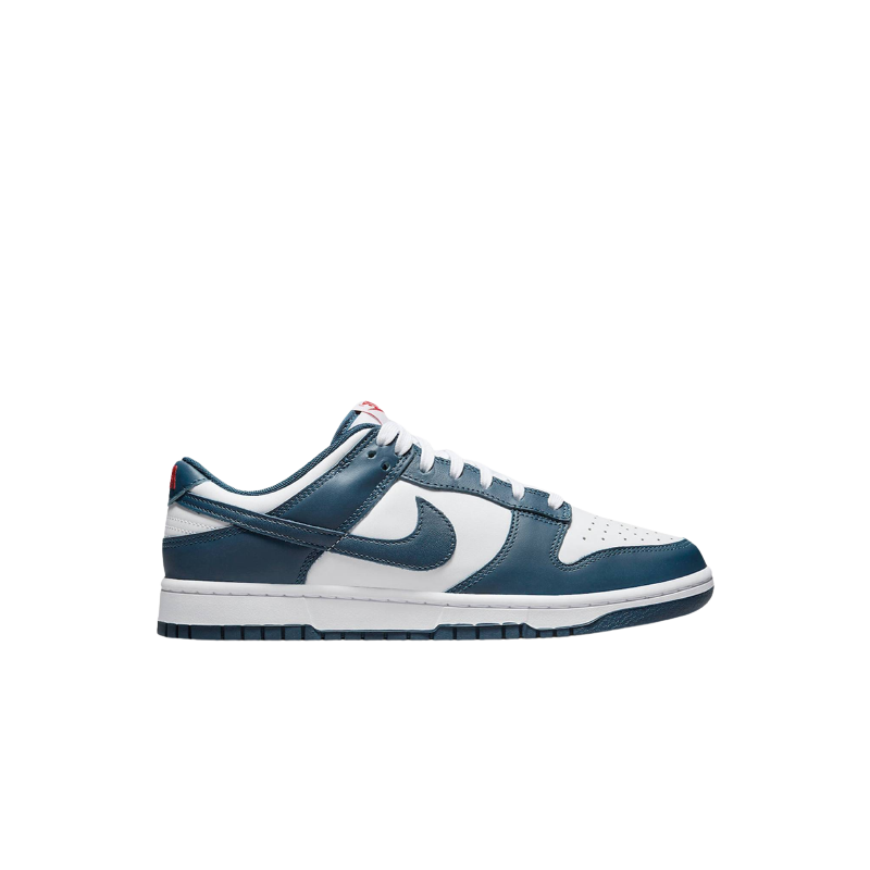 Nike Dunk Low Valerian Blue